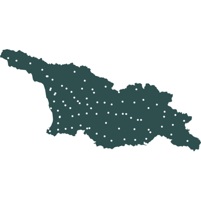 Example of geocoding with point geometry: Georgia